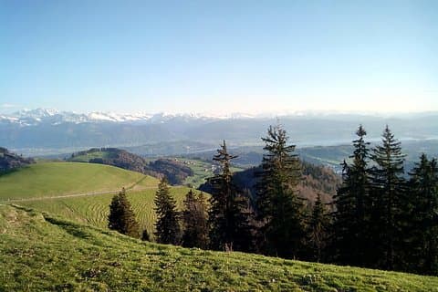 Beautiful View