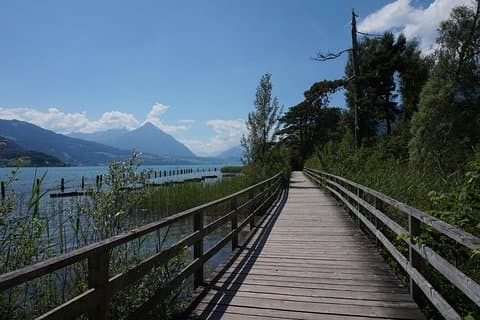 Interlaken: Scenic Walk Through Nature, Culture & Heritage