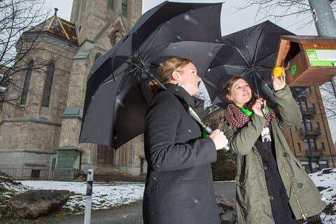 St. Gallen Foxtrail Gallus