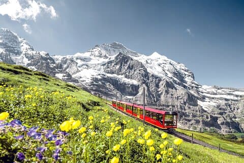 Panoramic tour to Jungfrau, Top of Europe with Skyglass Roof Bus