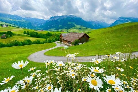Switzerland Picturebook Private Tour: Farm, Villages, & Mountains