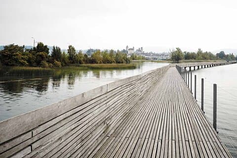 Nature Culture and enjoyment in one day from Zurich to Lucerne