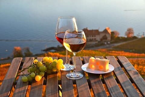 Lausanne Culinary Boat Trip & Vineyard Visit from Zurich
