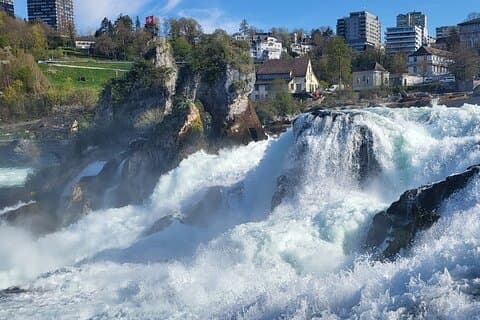 Rhine Falls & Stein am Rhein Private Tour