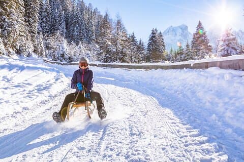 Winter Sledging Adventure (Private Tour)