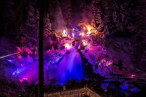 Black Forest Fairytale Tour (Private Tour)