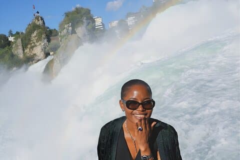 Private Rhine Falls Half Day Tour with a Local from Zurich