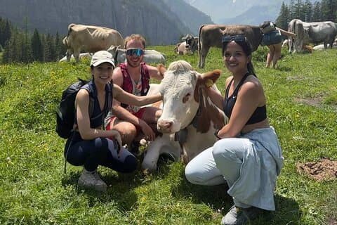 Kandersteg: Oeschinensee Panorama Hike with a Swiss Athlete