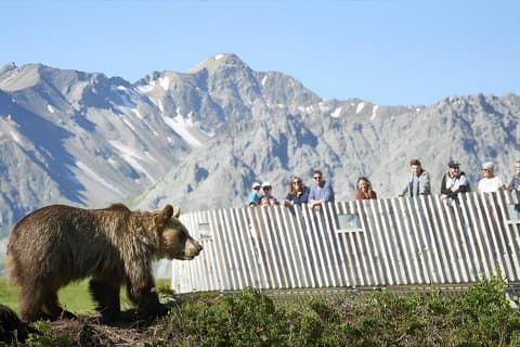 Arosa Bear Sanctuary Private Tour and Train Ride