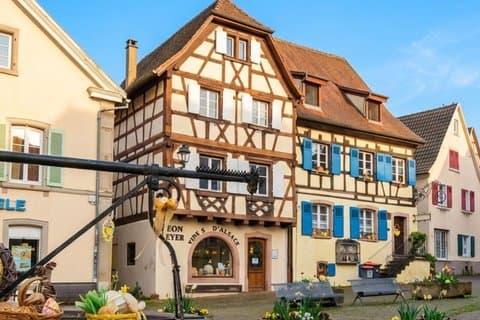From Basel: French Villages and Black Forest in Small Group