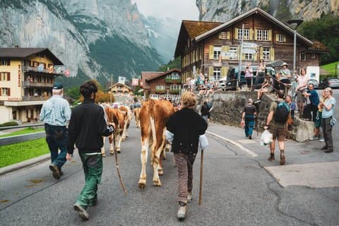 Lucerne: Sky Glass Bus to Interlaken, Grindelwald & Lauterbrunnen