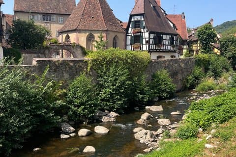Alsace's Villages, Colmar and Castle Private Car Tour for 1-6