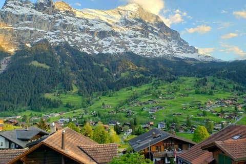Interlaken: Full Guided Private Tour Grindelwald & Lauterbrunnen