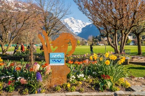 Interlaken, Lauterbrunnen,Brünig Pass & Lake Lungern Private Tour
