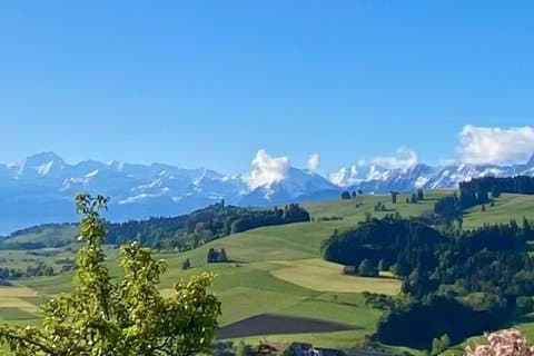 Half-day trip Vorarlberg World Champion Cheese Tradition and Mountains
