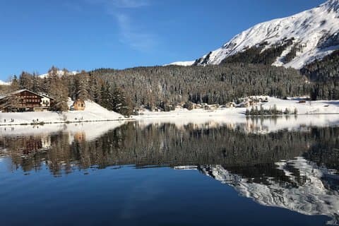 Direct Private Transfer from Zurich to Davos
