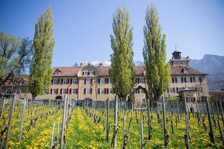 Oldest Winery in Europe