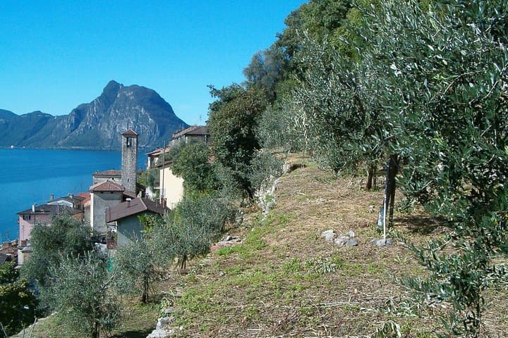 Guided Walk from Lugano to Gandria promoted by Lugano Region - return by boat