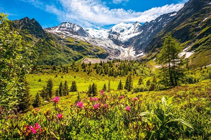 Chamonix Valley and Glacier