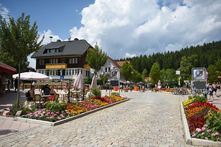 Trip from Zurich to Germany's Black Forest & Swiss Rhine Falls
