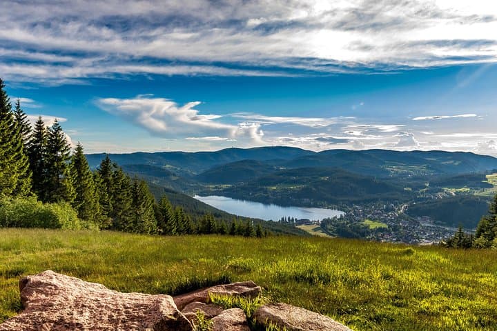 Titisee and pine forest seen from a distance