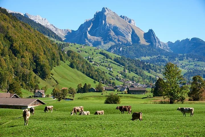 Scenic Countryside