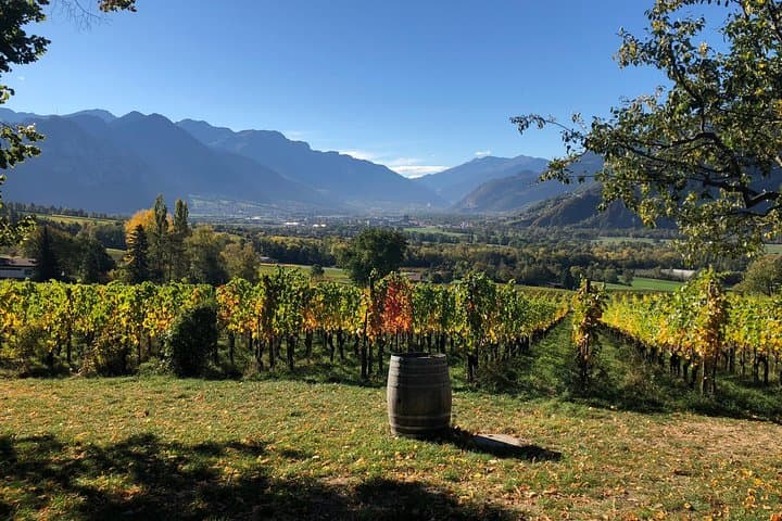 Great views