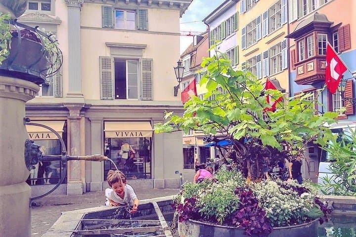 Introductory Walking Tour Of Zurich Including a 90 Min Lake Cruise