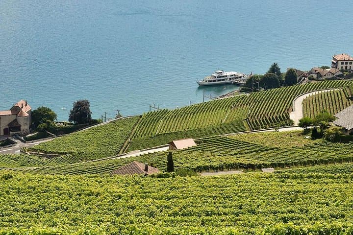 Swiss Wine Tasting at Lavaux Vineyards: Private Trip from Geneva