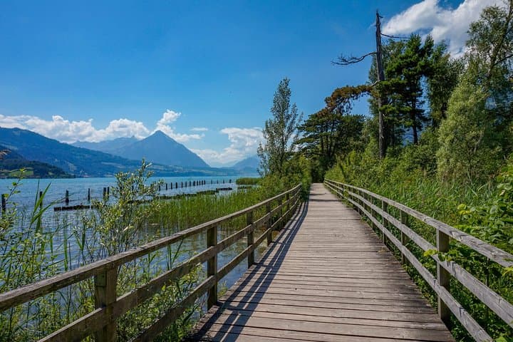 Explore Interlaken in 60 minutes with a Local