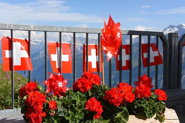 Lake Brienz and Lauterbrunnen - Private Experience from Zurich