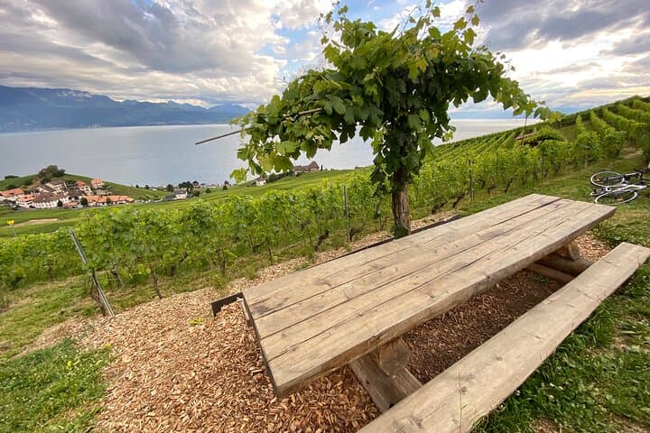 Panoramic spots to sample wine and learn about wine tasting