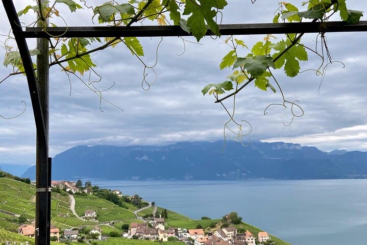 Reveling in the best of Lavaux