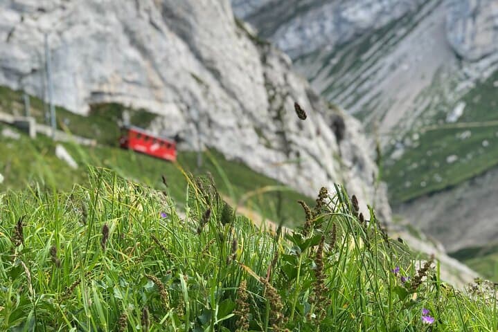 Mt. Pilatus & Lake Lucerne Cruise Small Group Tour | From Zurich
