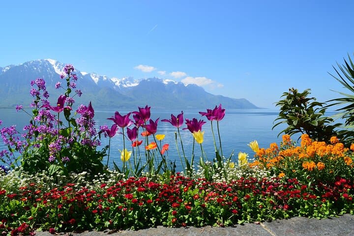 Private tour of the best of Geneva - Sightseeing, Food & Culture with a local