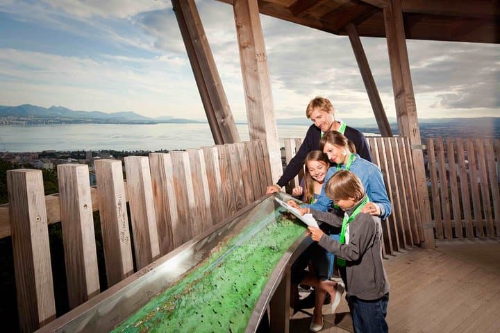 Lausanne Foxtrail Citi