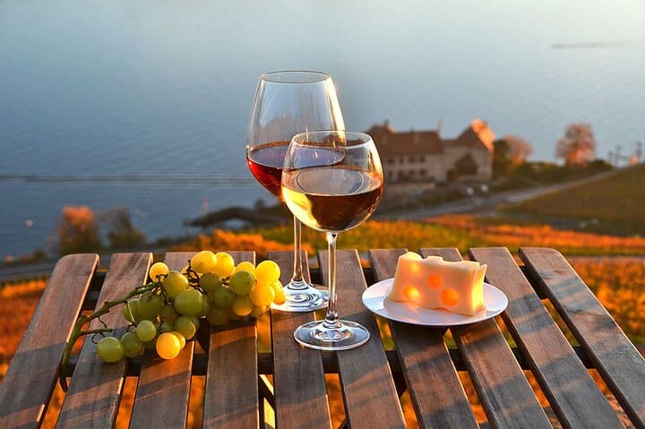 Swiss Wine Tasting at Lavaux Vineyards: Private Trip from Geneva