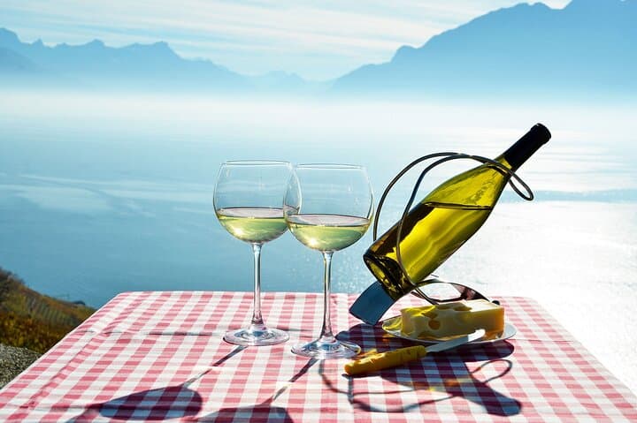 Swiss Wine Tasting at Lavaux Vineyards: Private Trip from Geneva