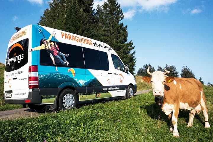 We guarantee a fun and safe journey!