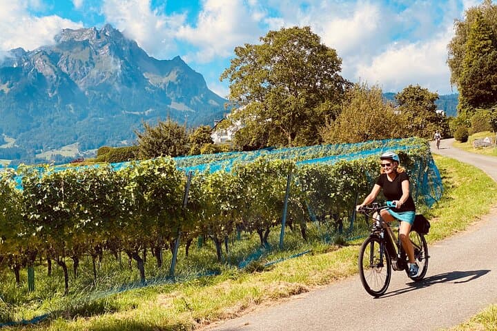 Lake Lucerne Peninsula e-Bike Tour