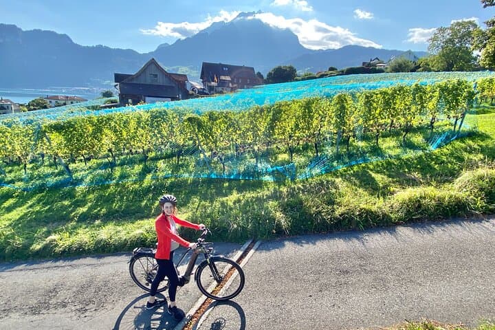 Lake Lucerne Peninsula e-Bike Tour