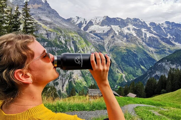 Grindelwald, Lauterbrunnen & Mürren Private Day Trip from Zurich