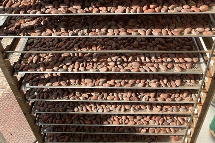 Ethical Chocolate Tour