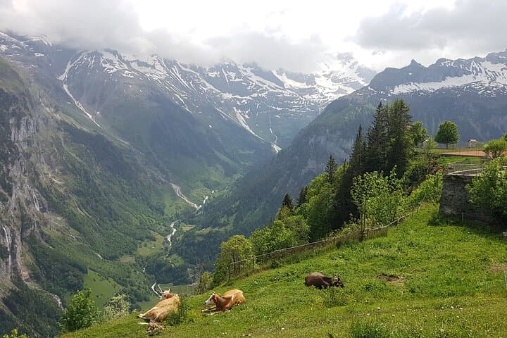 Lauterbrunnen-Mürren: Swiss Alps Small Group Tour from Interlaken