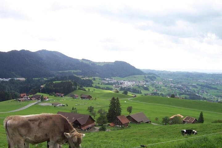 Beautiful landscapes