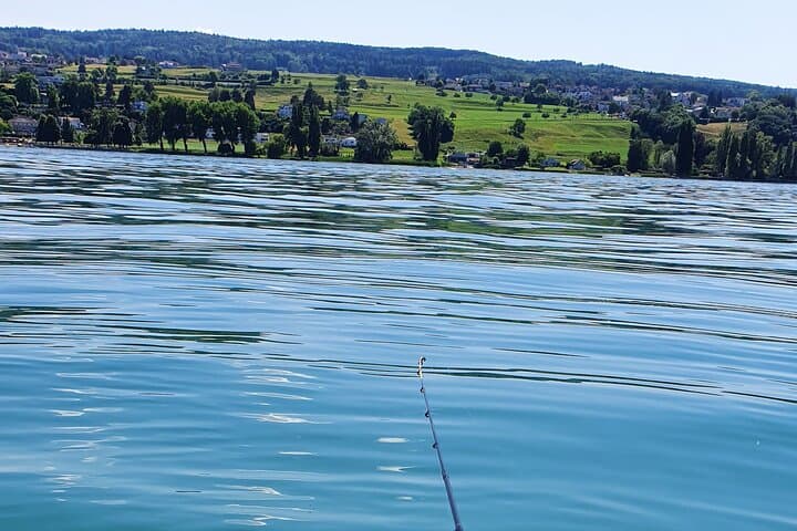 Great nature around the Untersee