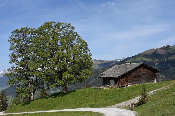 Private Transfer From Zurich to Gstaad, 2h Stop in Bern
