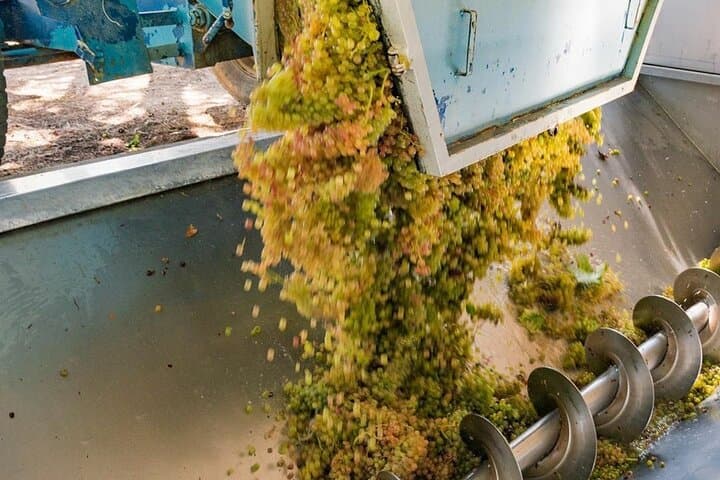 Discover and learn about the production of wine on your private wine tour to Baden-Württemberg