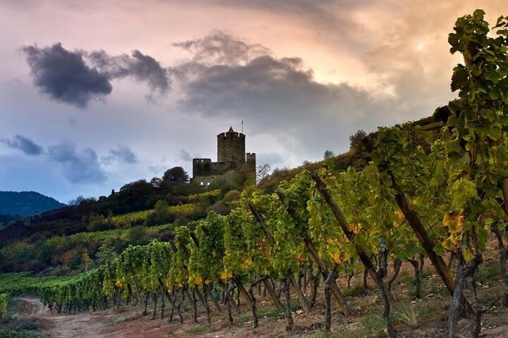 Visit exquisite vineyards on your wine tour to Baden-Württemberg