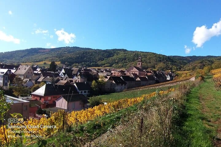 Visit exquisite vineyards on your wine tour to Baden-Württemberg